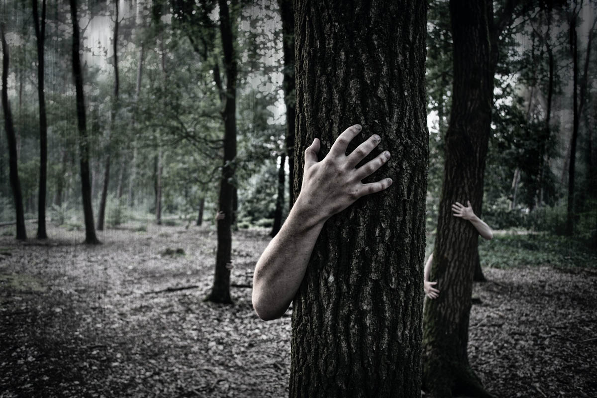 Disembodied arms cling to trees in a dark forest